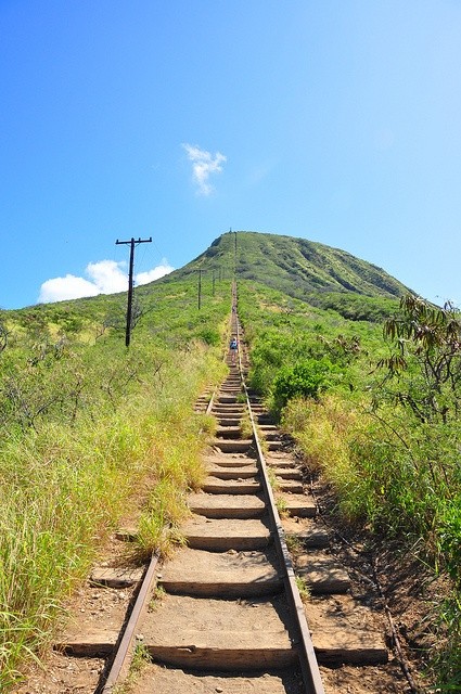 KokoCraterAFSOahuHI_Recent_tram-line.jpg